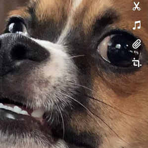 Meet your Posher, Mason